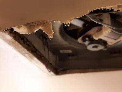 Professional water damage restoration services in Coral Springs